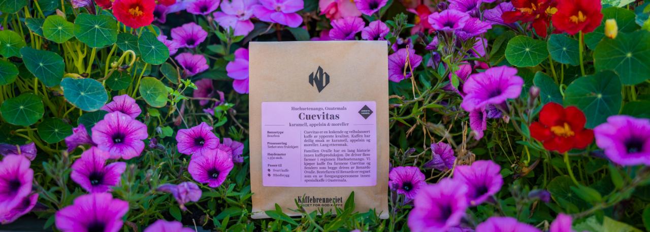 Nyhet: Cuevitas