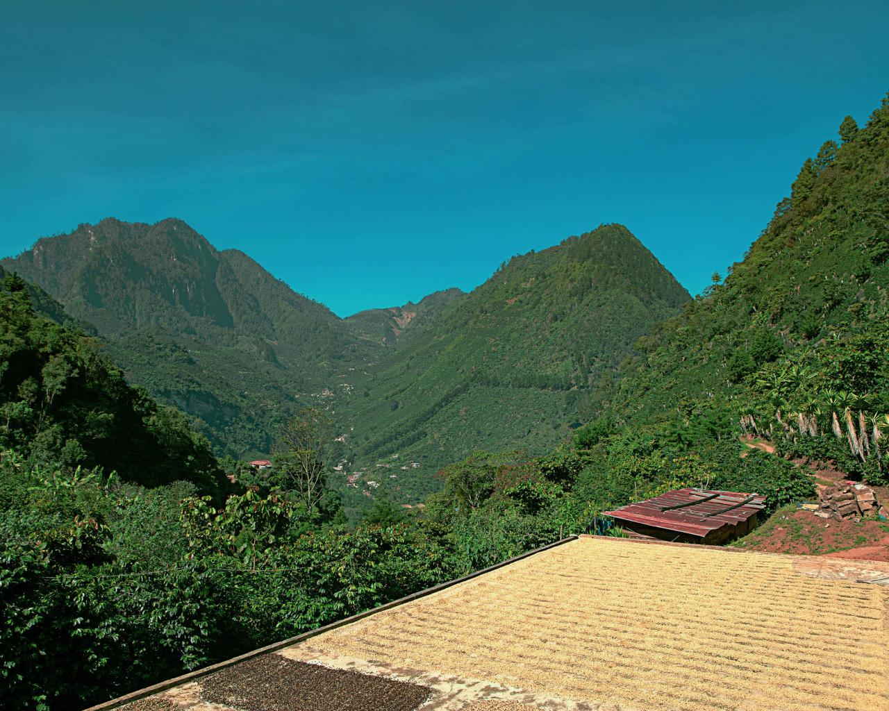 Cuevitas
