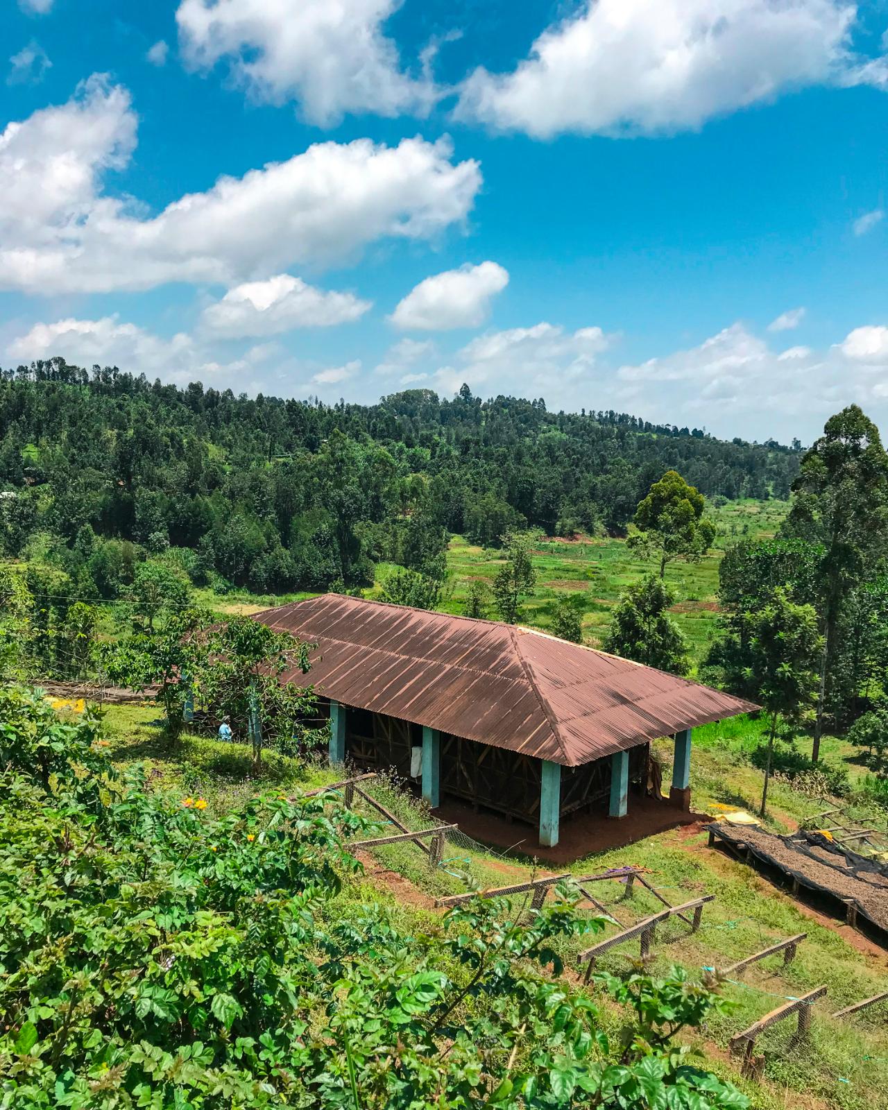 Gatagua Espresso
