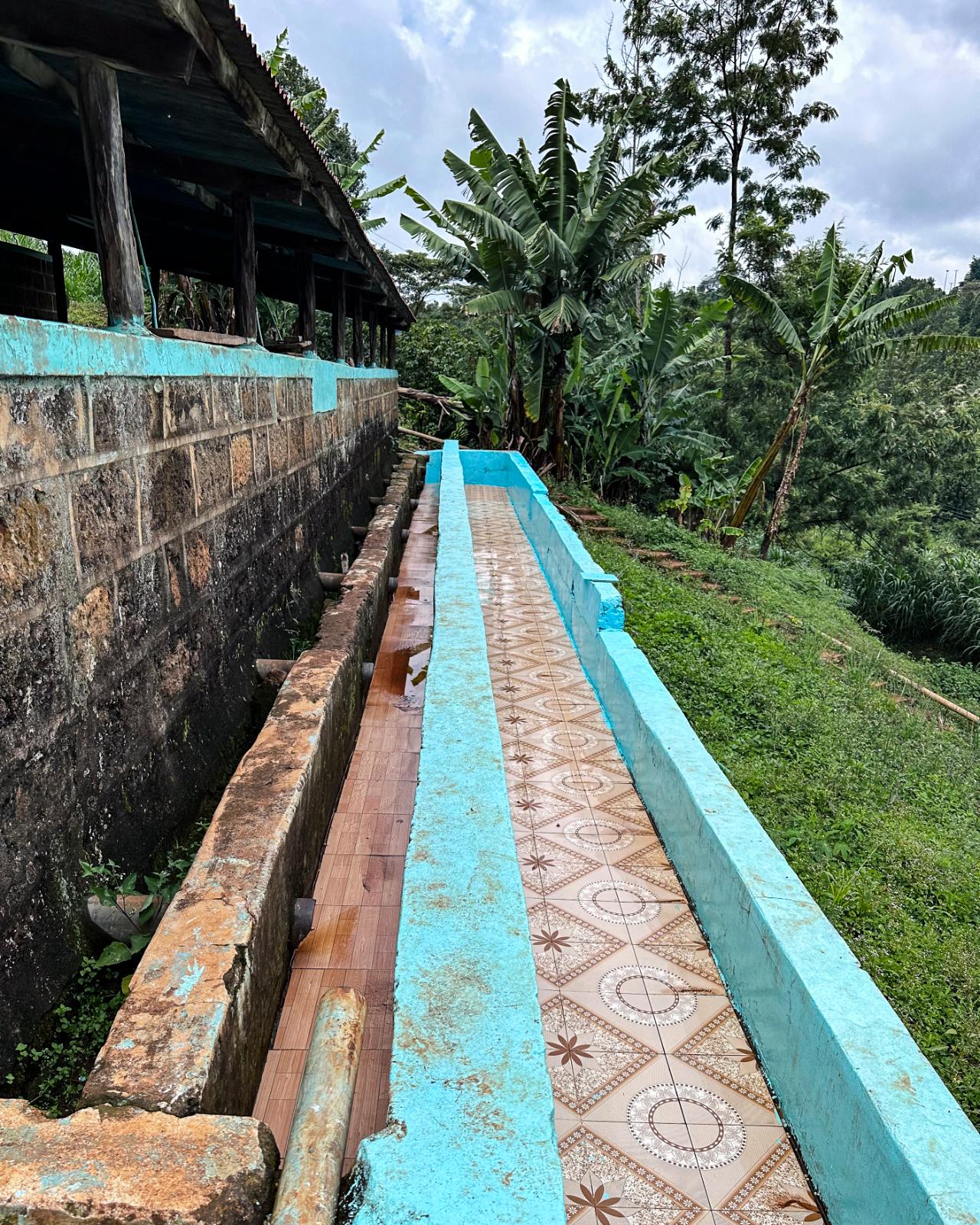 Gatagua Espresso