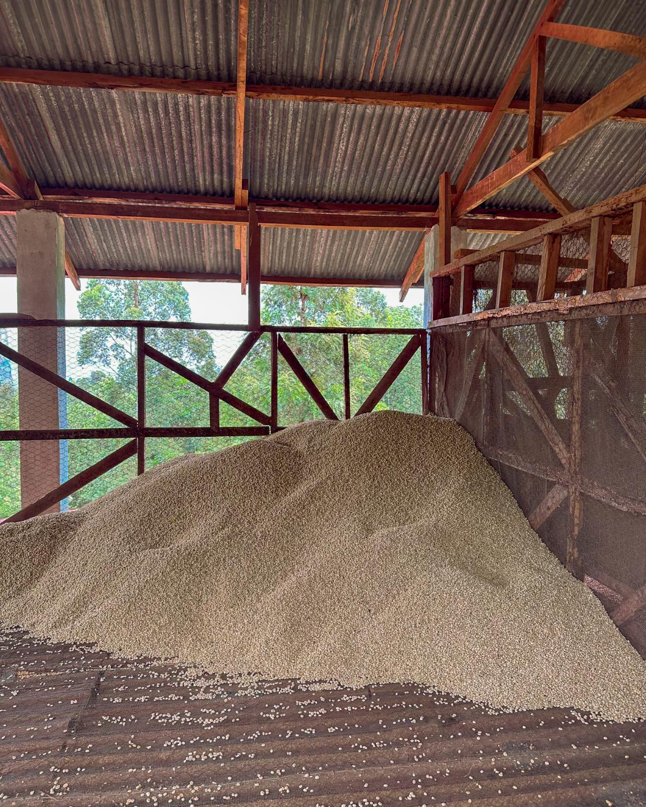 Gatagua Espresso