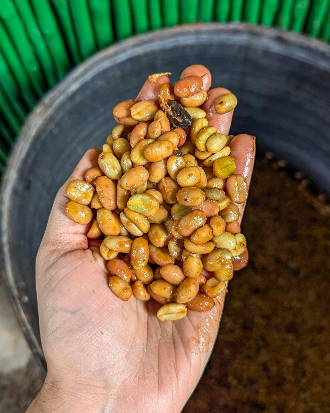 La Escondida